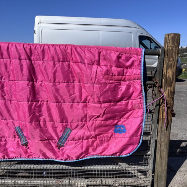 5'0" Cuddly Ponies combo stable rug 200g - Image 2