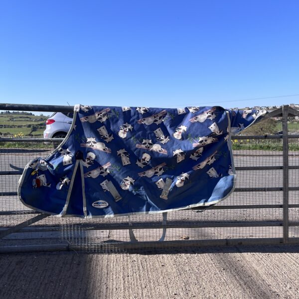 5'3" Weatherbeeta comfitec essential turnout rug 220g