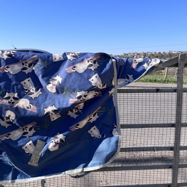 5'3" Weatherbeeta comfitec essential turnout rug 220g - Image 2