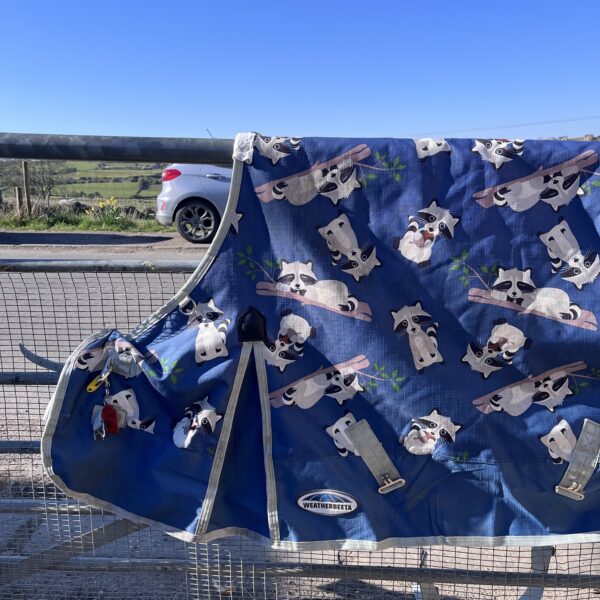 5'3" Weatherbeeta comfitec essential turnout rug 220g - Image 3