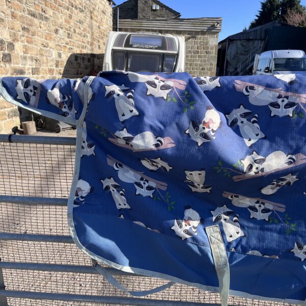 5'3" Weatherbeeta comfitec essential turnout rug 220g - Image 5