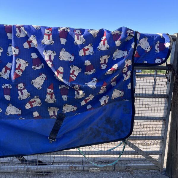 6'6" Weatherbeeta comfitec essential turnout rug 220g - Image 2